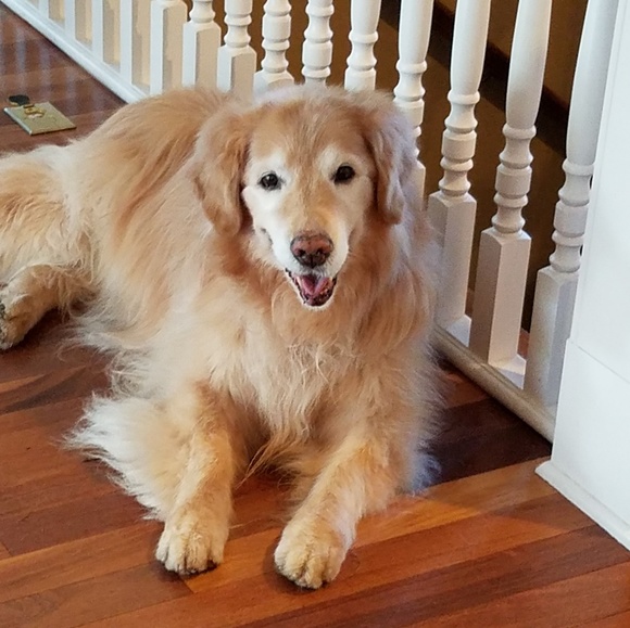 Meet your Posher, Brian - Picture 1 of 1